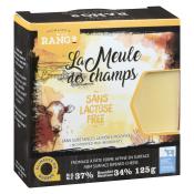056179103103-21-06-22-2-10 - Devant-TIF